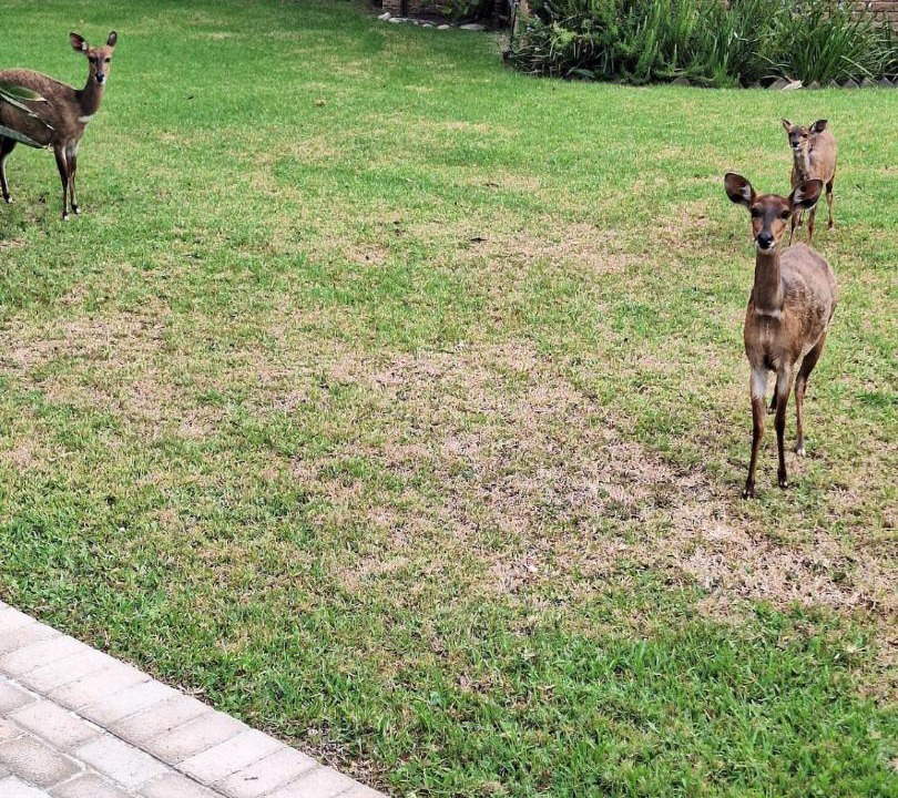 Photo of Others in Lake Brenton