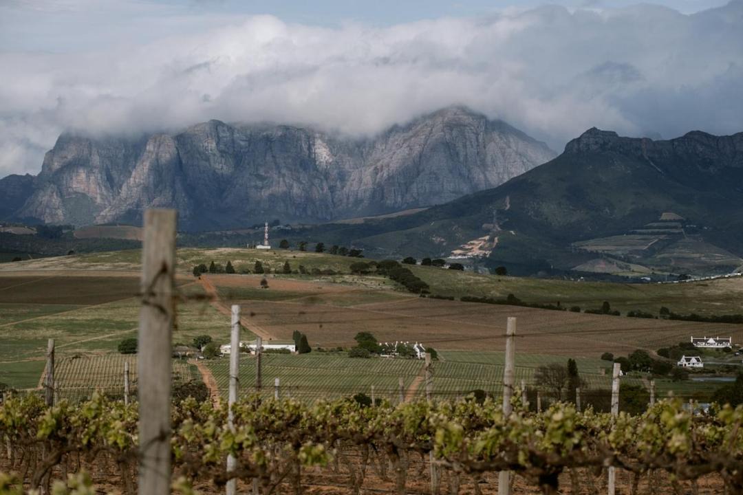 Photo of Others in Stellenbosch