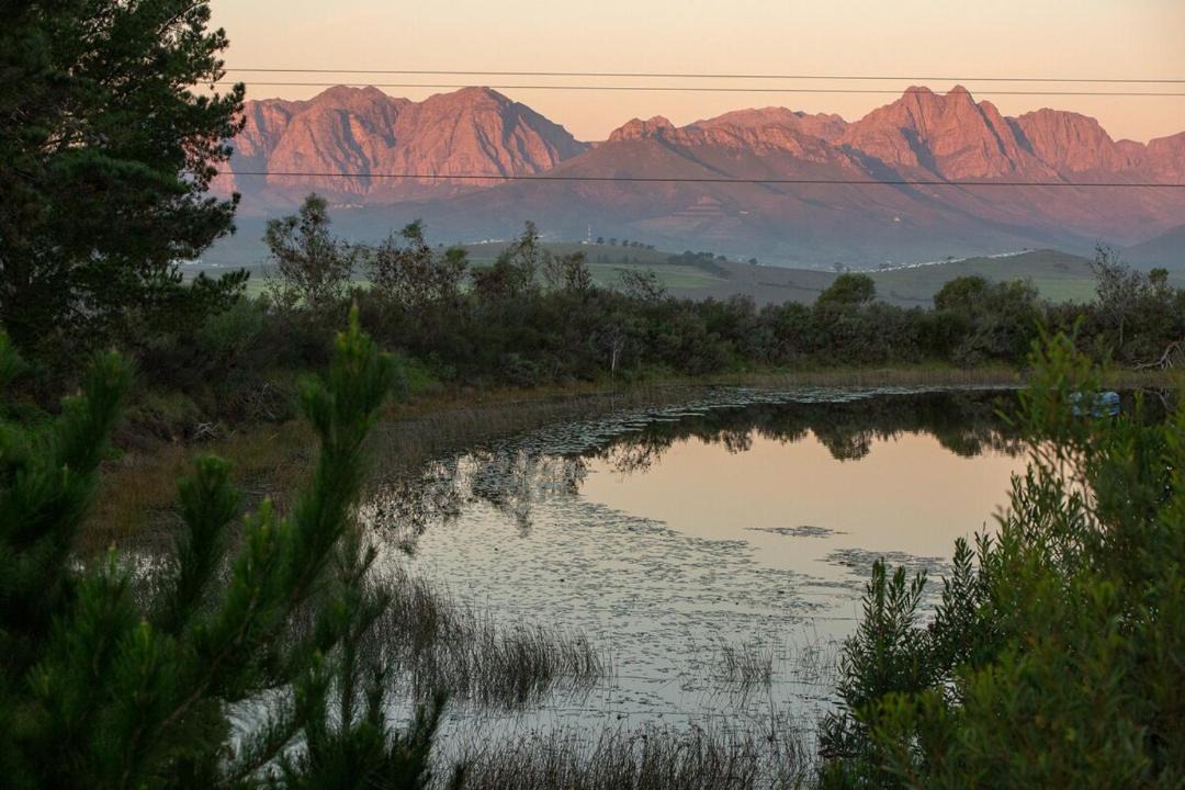 Photo of Others in Stellenbosch