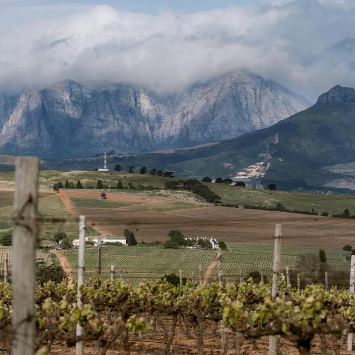 Photo of Others in Stellenbosch