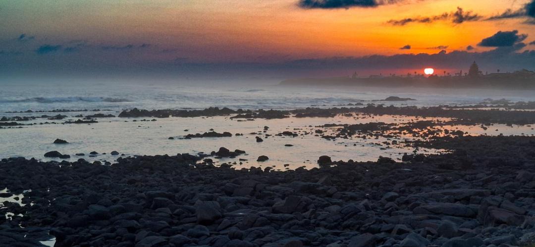 Photo of Others in Amatola Coastal