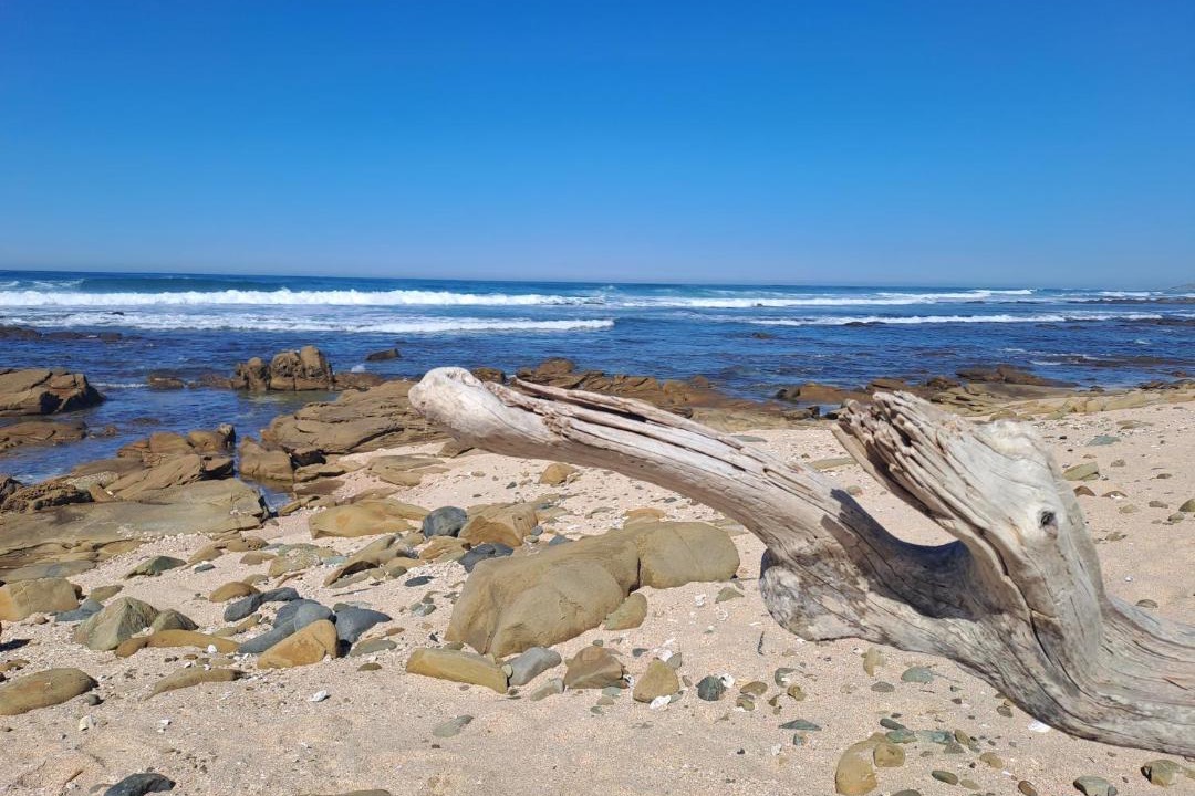 Photo of Others in Amatola Coastal