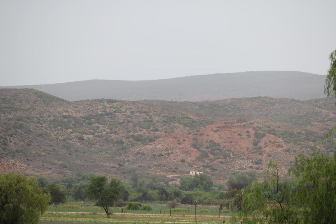 Photo of Others in De Hoop