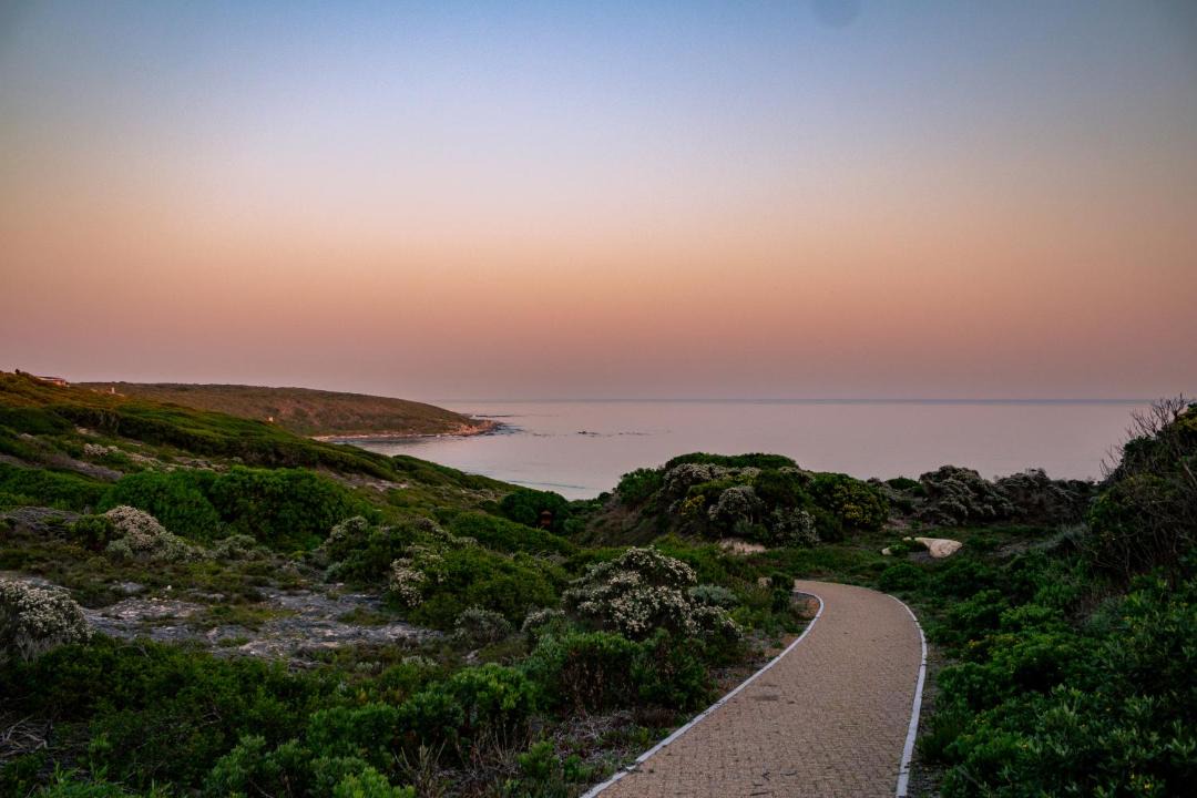 Photo of Others in Gansbaai