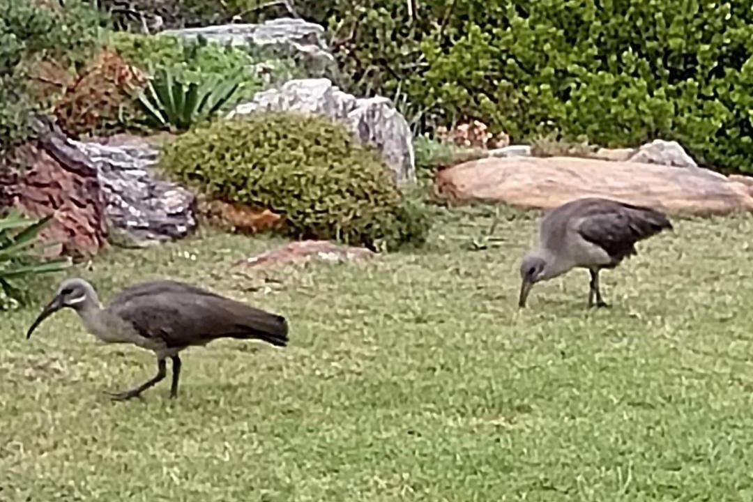 Photo of Others in Helderberg Rural