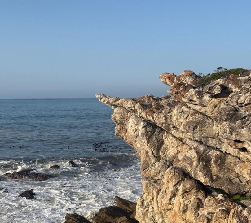 Photo of Others in Hermanus City-Centre
