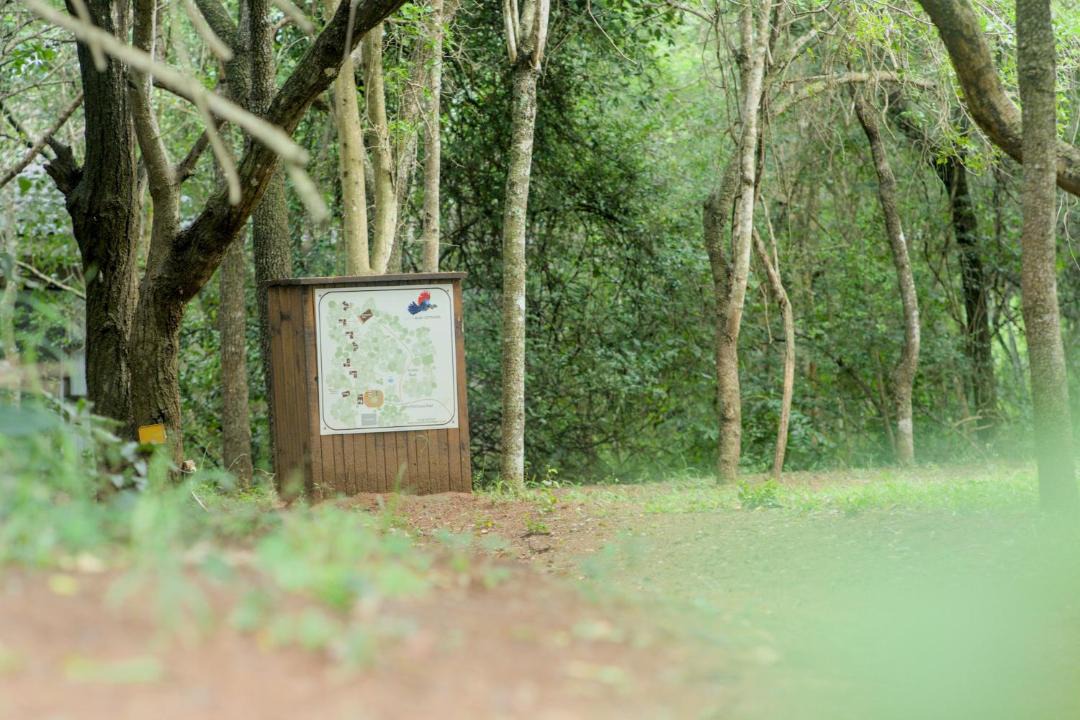 Photo of Others in Hluhluwe
