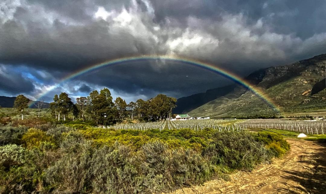 Photo of Others in Langeberg