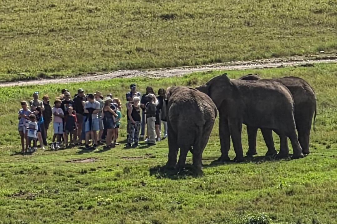 Photo of Others in Buffalo Hills Game Reserve