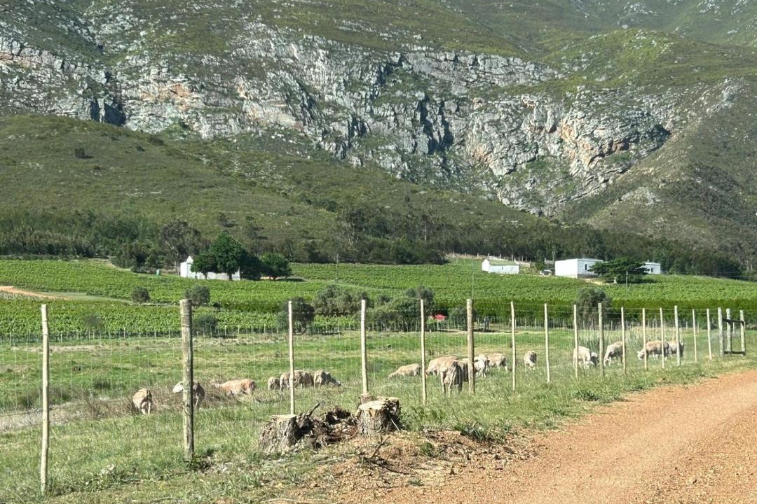 Photo of Others in Langeberg