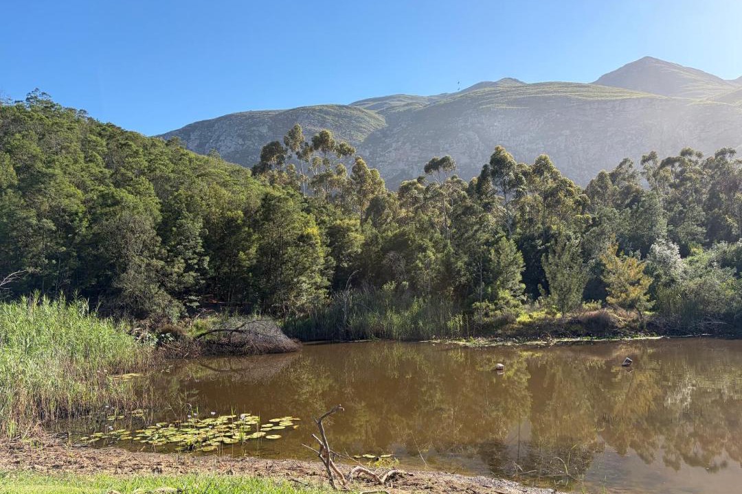 Photo of Others in Langeberg