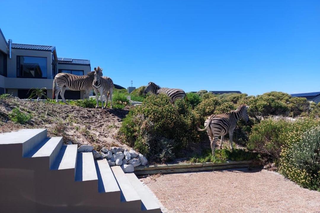 Photo of Others in Gansbaai