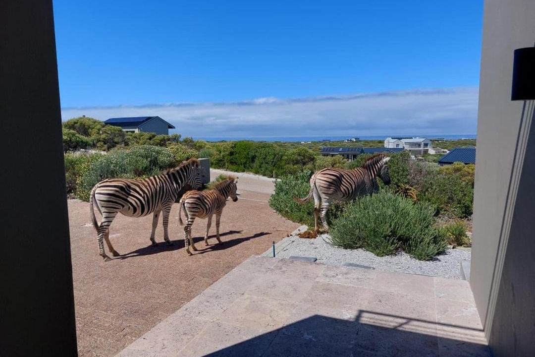 Photo of Others in Gansbaai