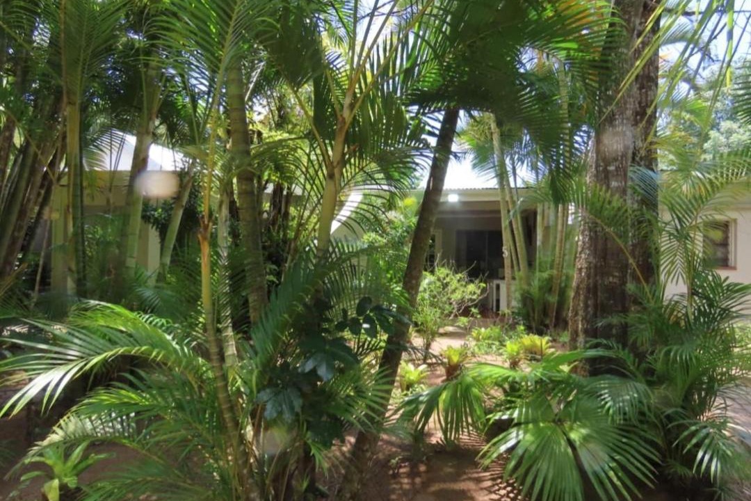 Photo of Others in St. Lucia