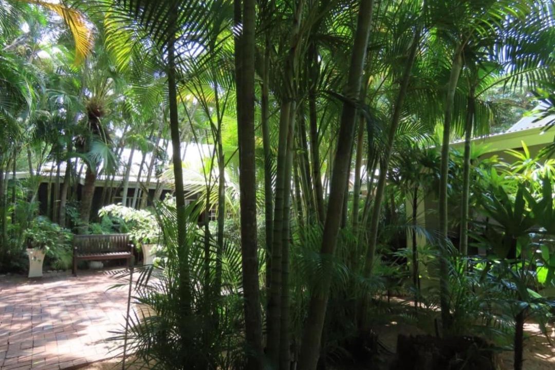 Photo of Others in St. Lucia