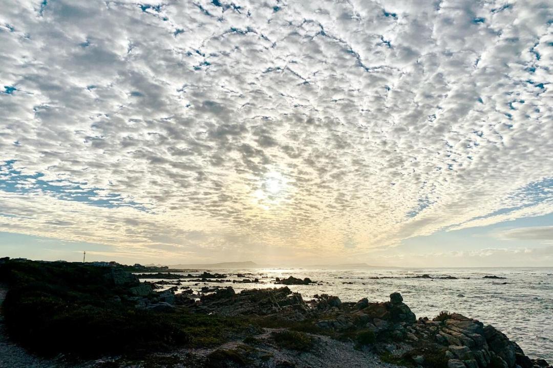 Photo of Human In Picture in Franskraal