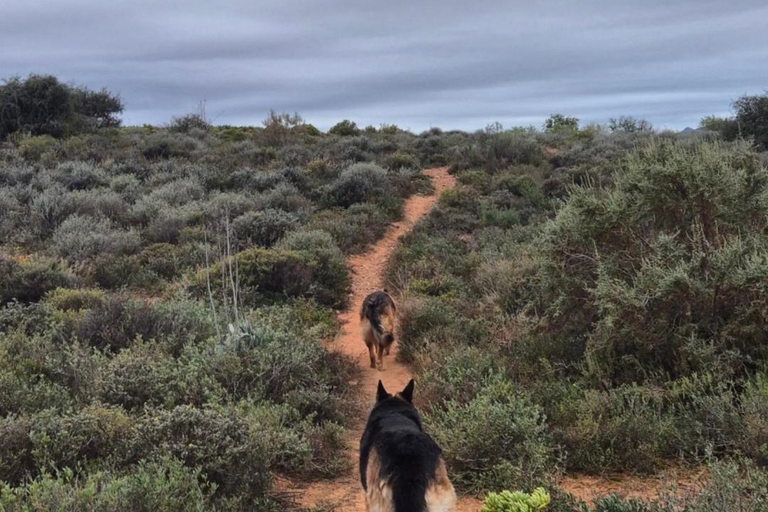 Photo of Others in Oudtshoorn