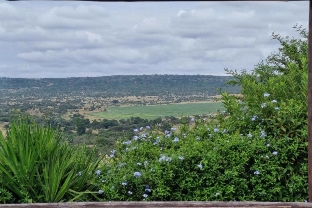 Photo of Others in Ladysmith