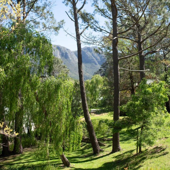 Photo of Others in Constantia