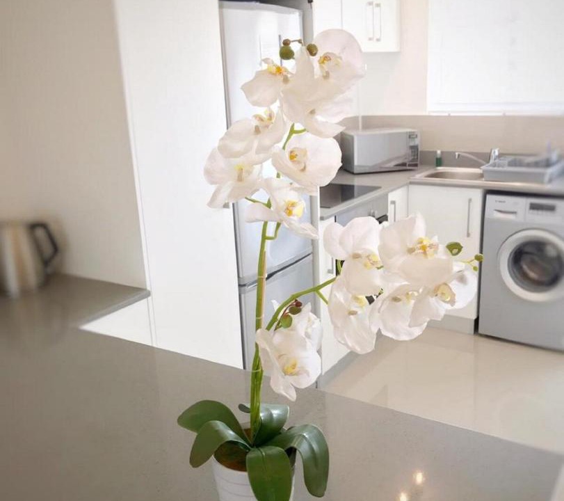 Photo of Kitchen in Green Point