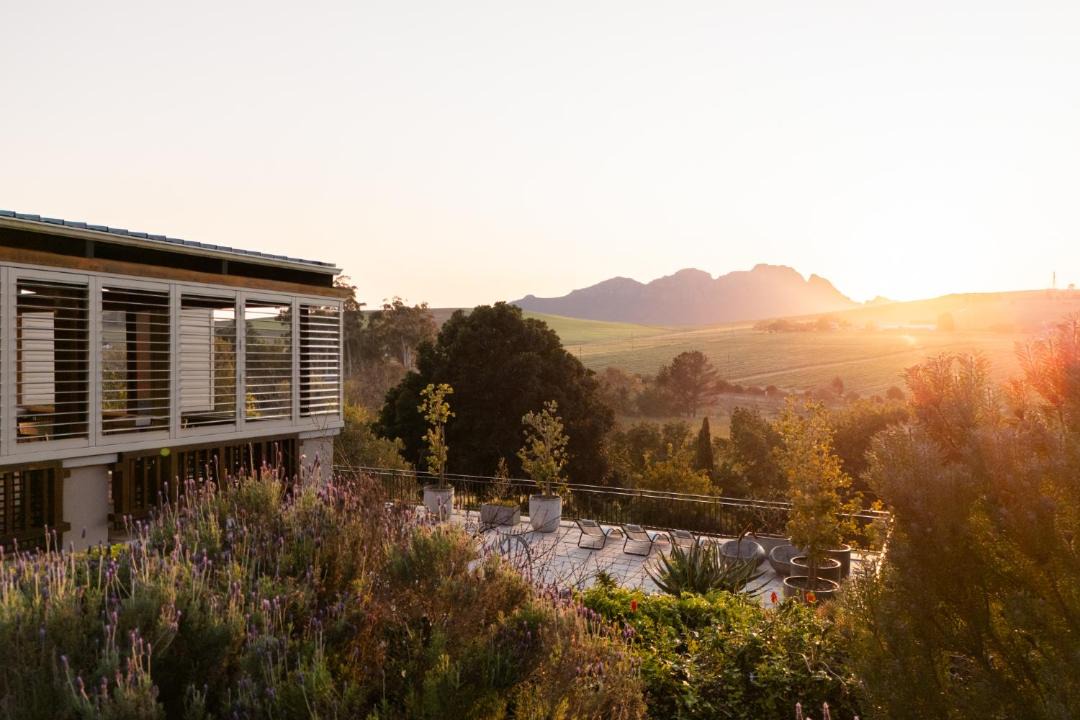Photo of Others in Stellenbosch