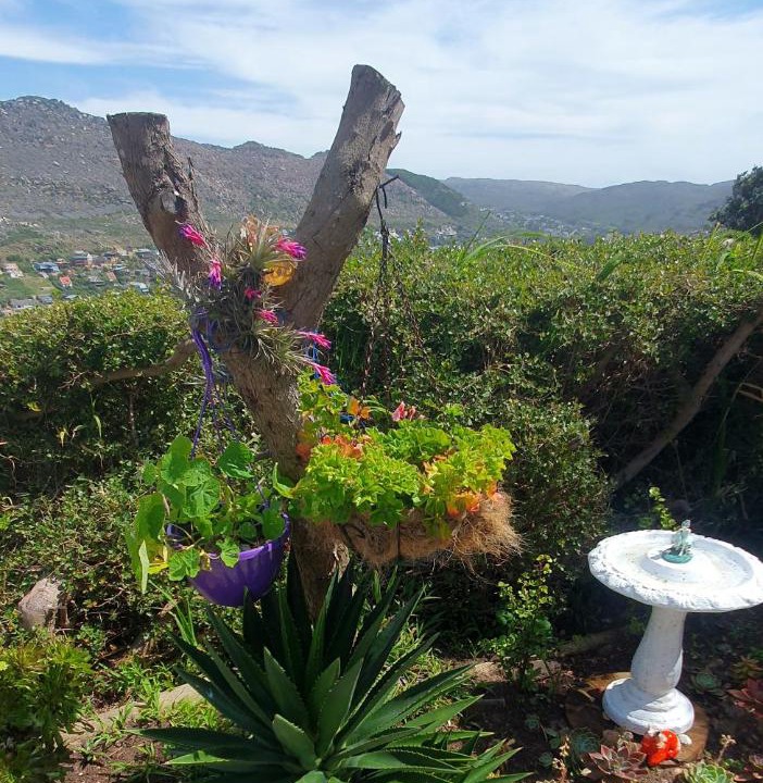 Photo of Others in Fish Hoek