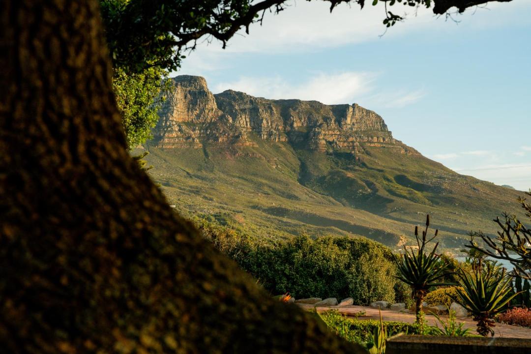 Photo of Others in Camps Bay