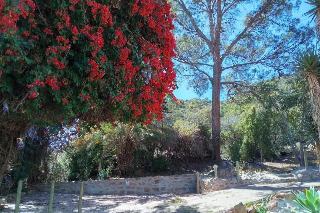 Photo of Others in Schoemanshoek