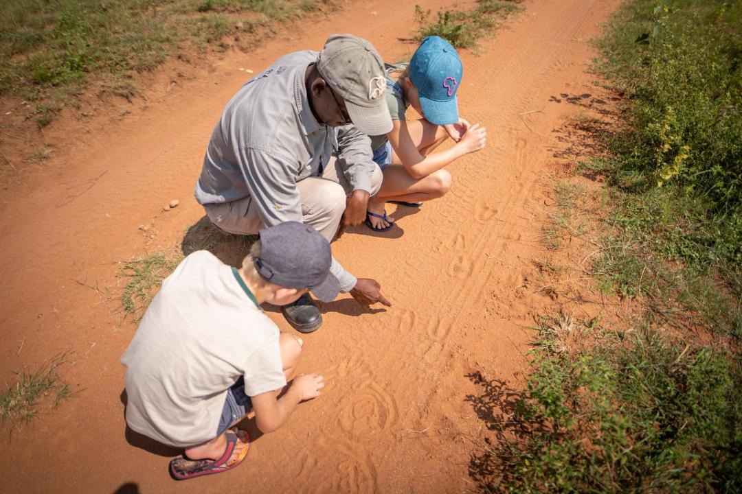Photo of Others in Vaalwater