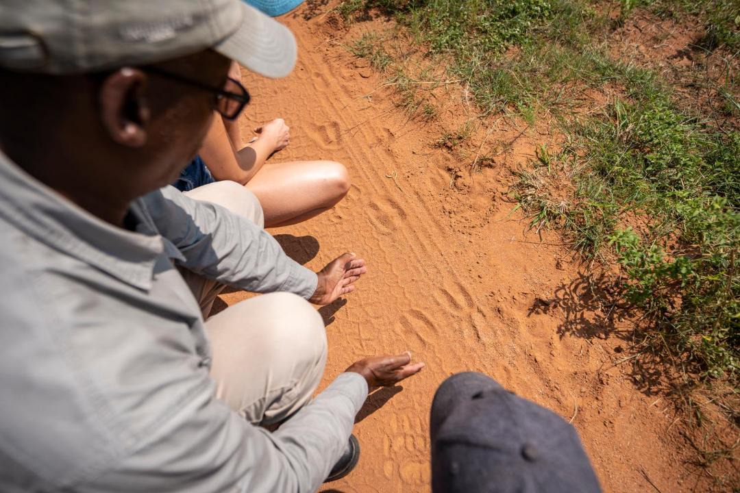 Photo of Others in Vaalwater