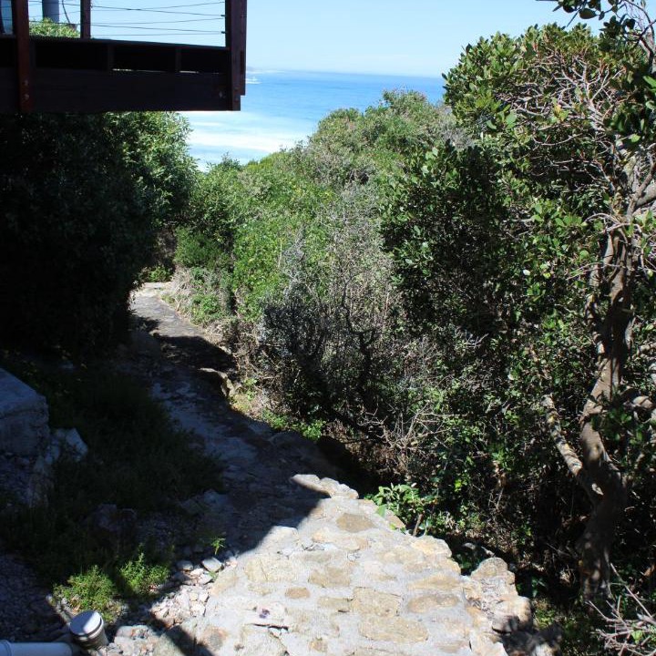 Photo of Others in Cape Peninsula