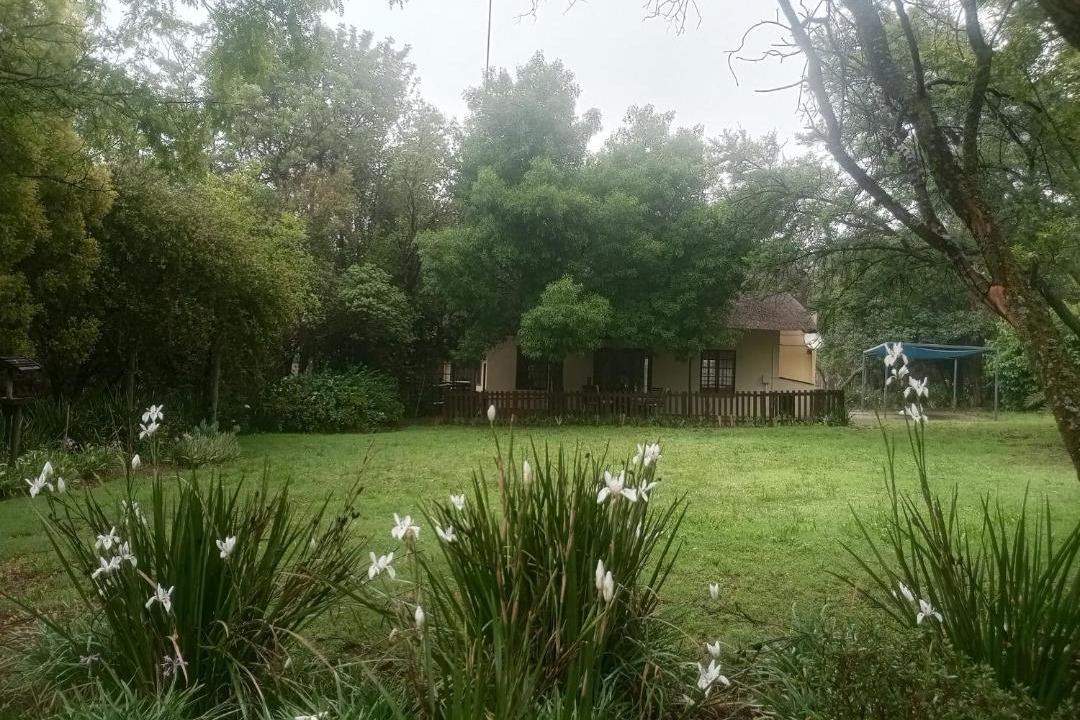 Photo of Others in Greater Johannesburg Metropolitan Area