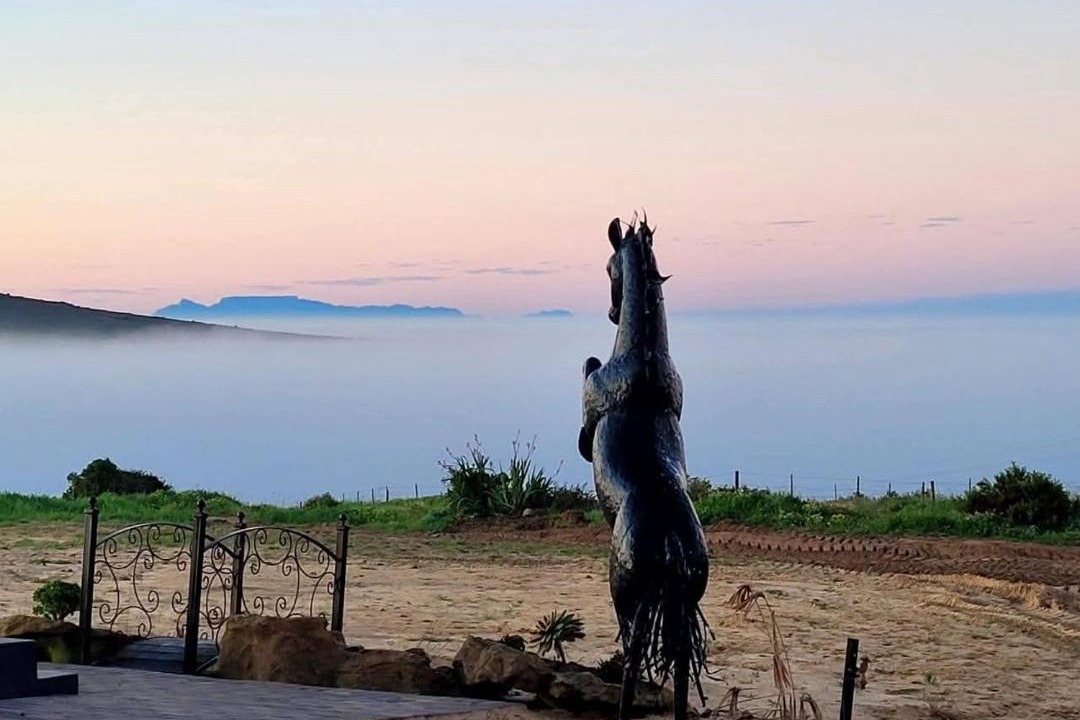 Photo of Others in Yzerfontein