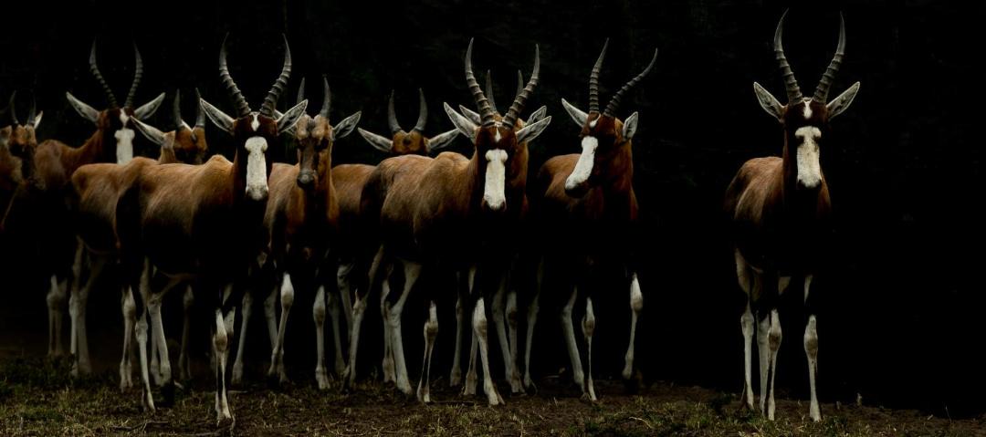 Photo of Others in Colchester