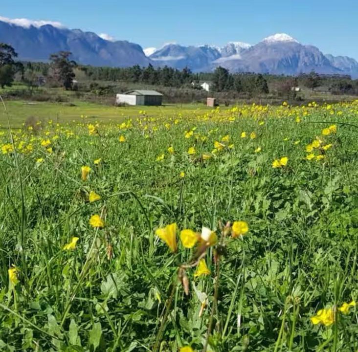 Photo of Others in Tulbagh