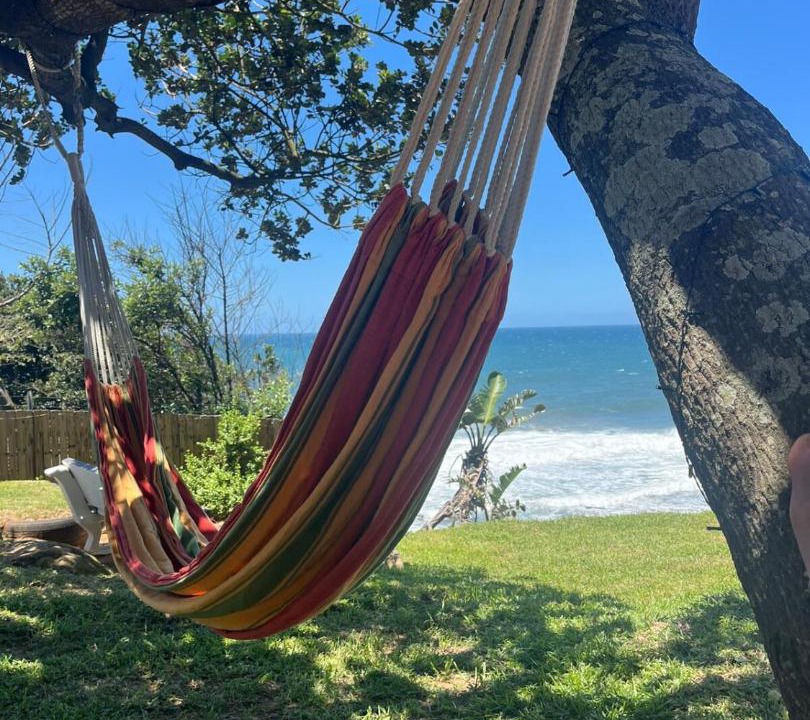 Photo of Others in Sheffield Beach