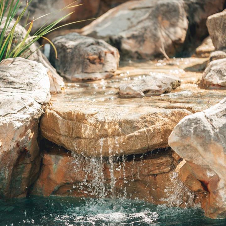 Photo of Others in Kleinmond
