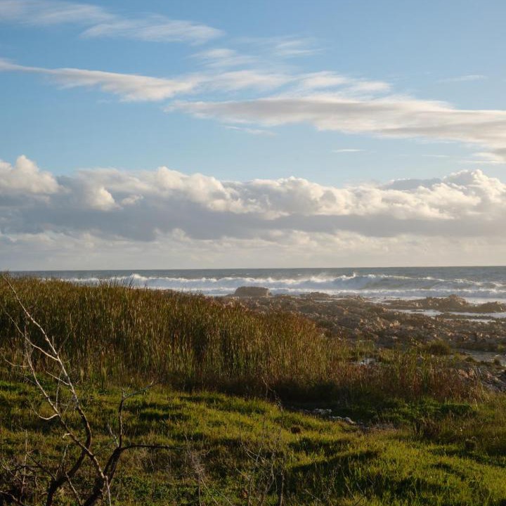Photo of Others in Gansbaai