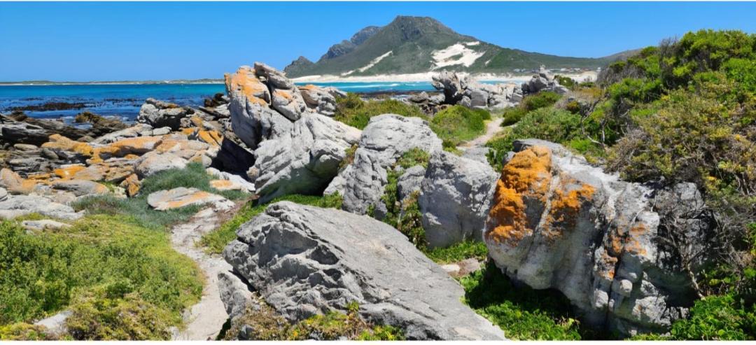 Photo of Others in Betty's Bay