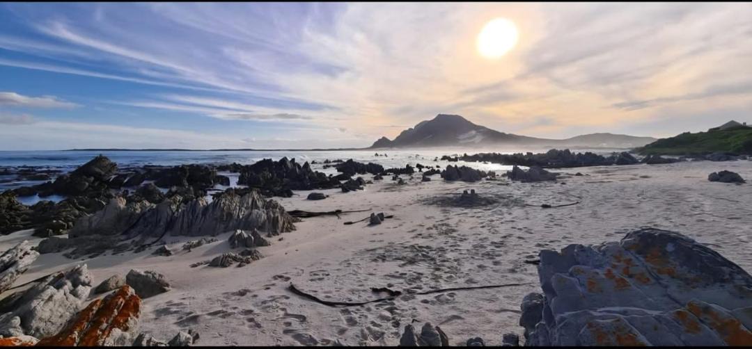 Photo of Others in Betty's Bay