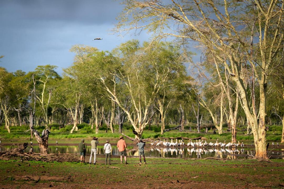 Photo of Others in Gwalali