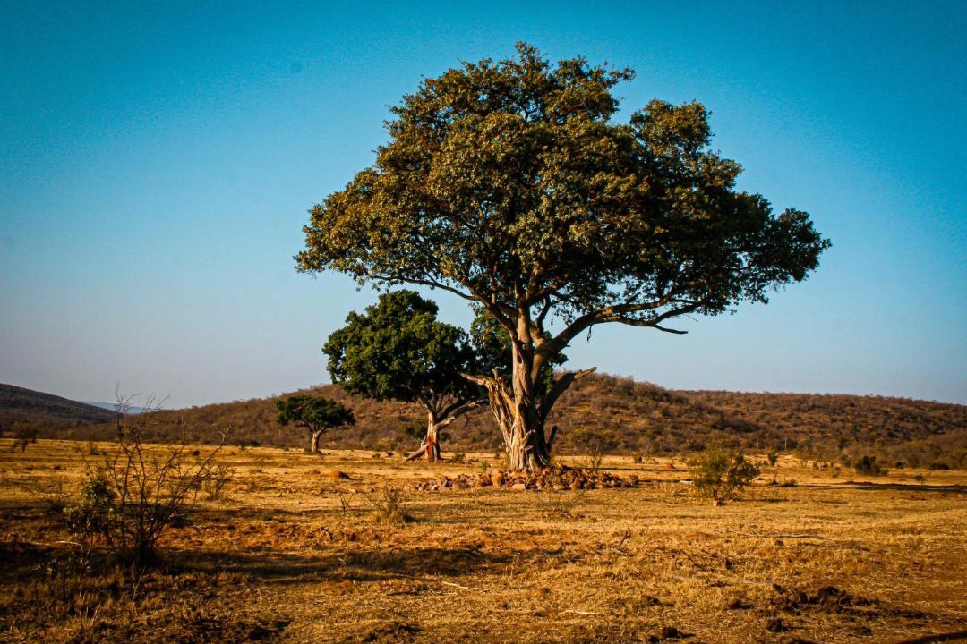 Photo of Others in Vaalwater