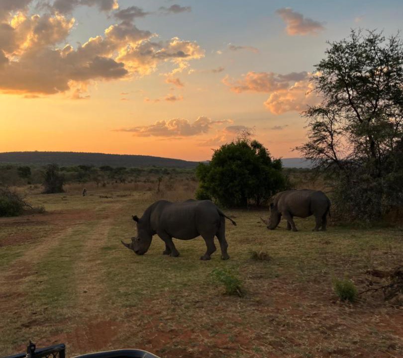 Photo of Others in Vaalwater