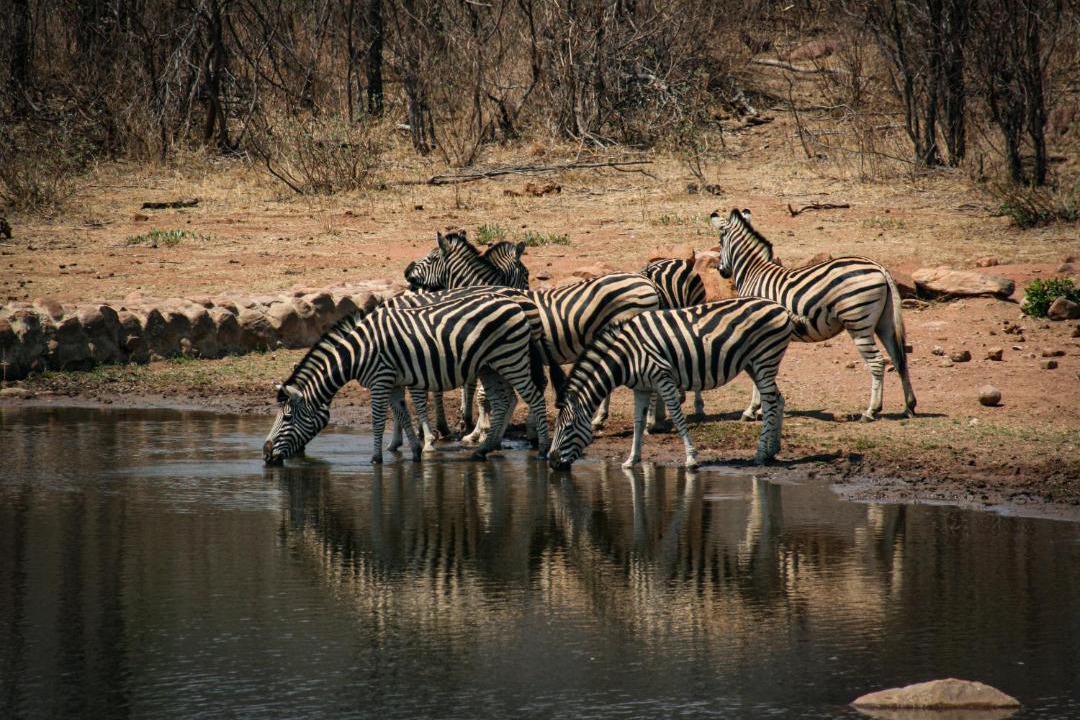 Photo of Others in Vaalwater