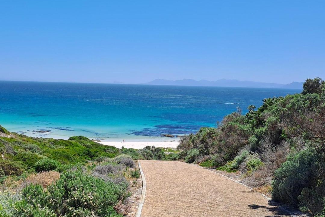 Photo of Others in Gansbaai