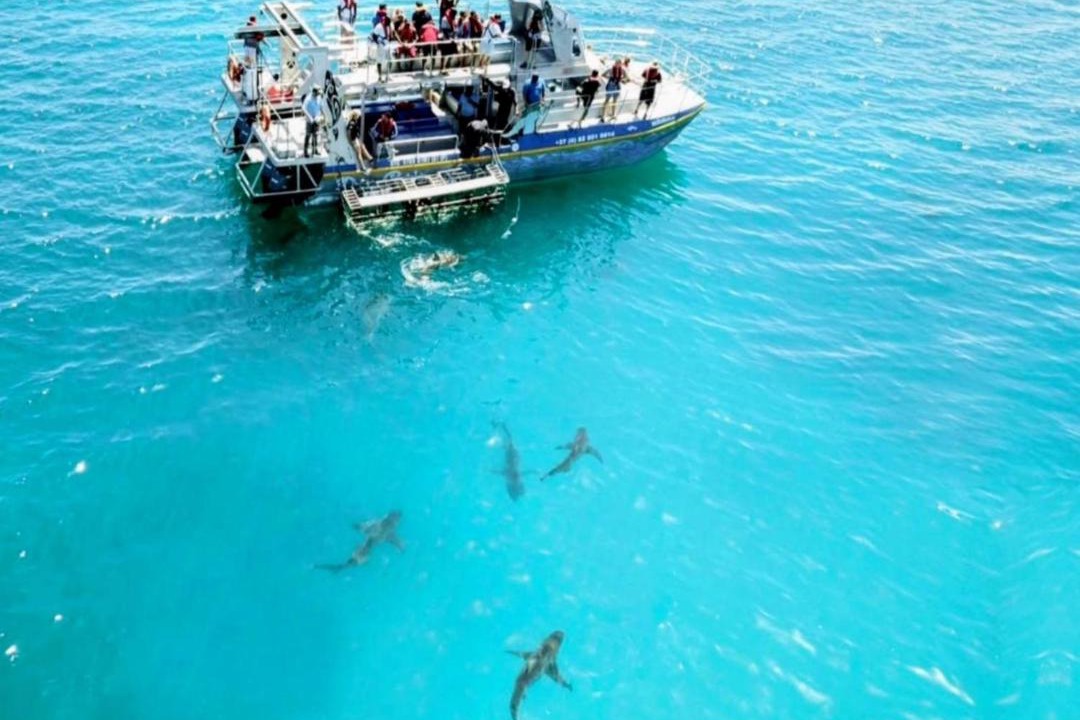 Photo of Others in Gansbaai