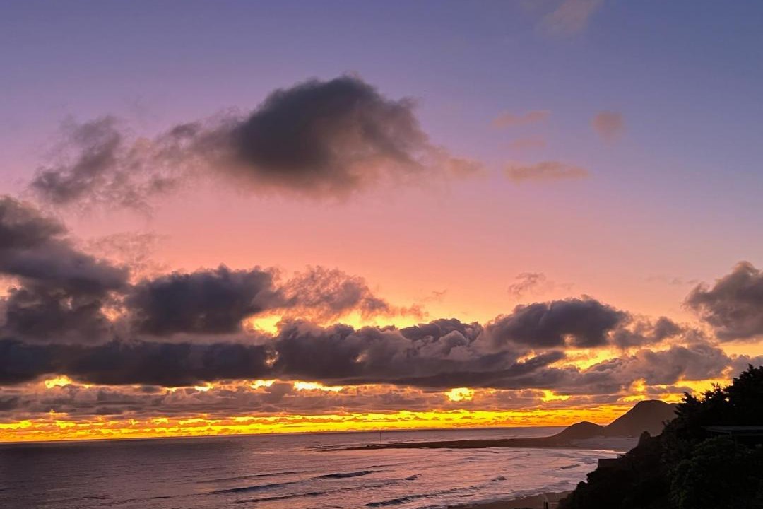 Photo of Others in Cape Peninsula