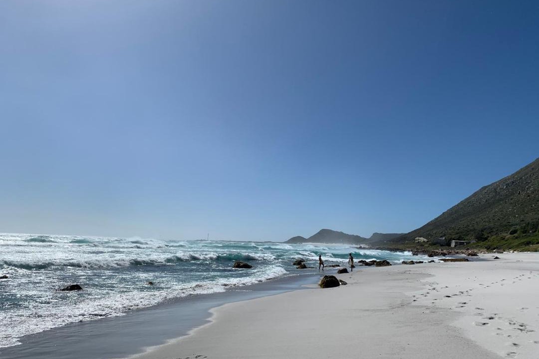 Photo of Others in Cape Peninsula
