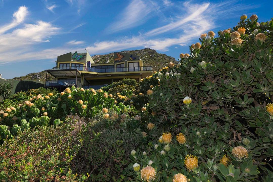 Photo of Others in Pringle Bay