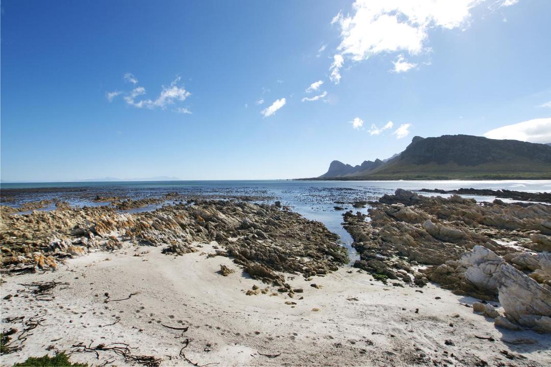 Photo of Others in Pringle Bay